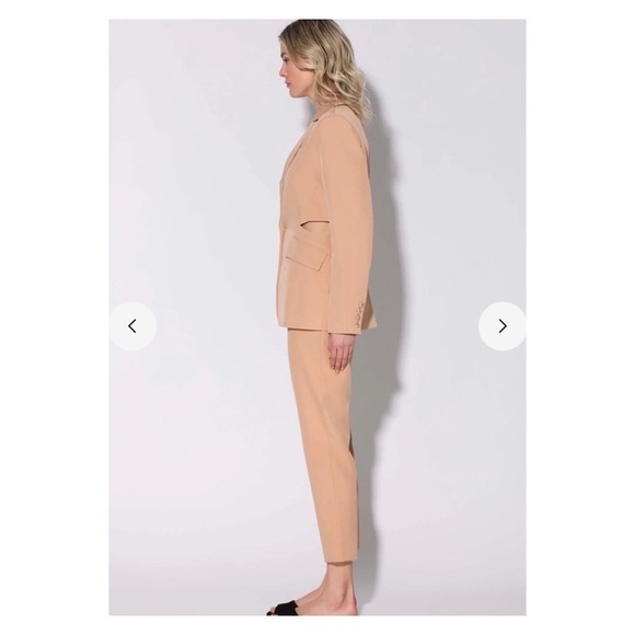 WALTER BAKER Felicia Cutout Blazer Jacket Dune Nude Small NWT Old Money - Picture 4 of 6